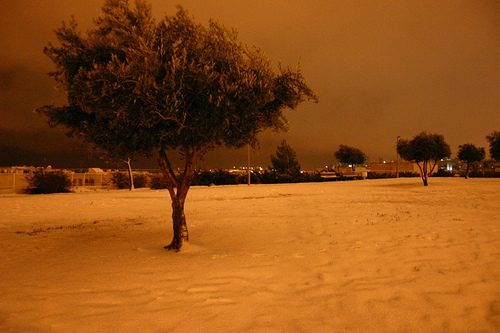 Pisgat Zeev_1.jpg